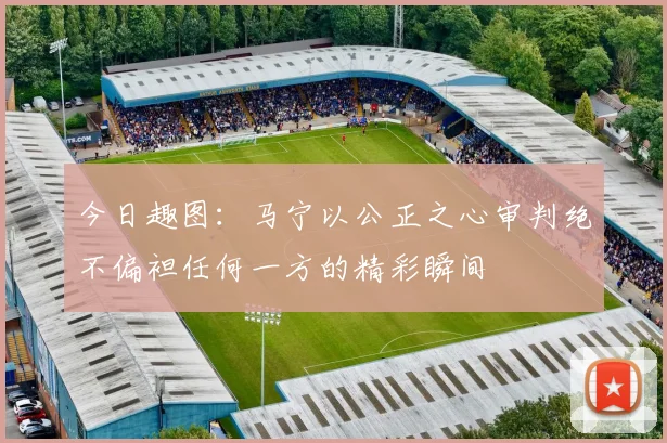 今日趣图：马宁以公正之心审判绝不偏袒任何一方的精彩瞬间