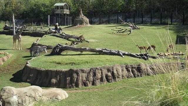 حديقة الحيوانات في دبي