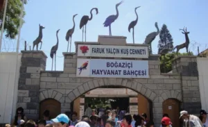 حديقة حيوان اسطنبول
